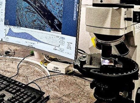 optical microscope